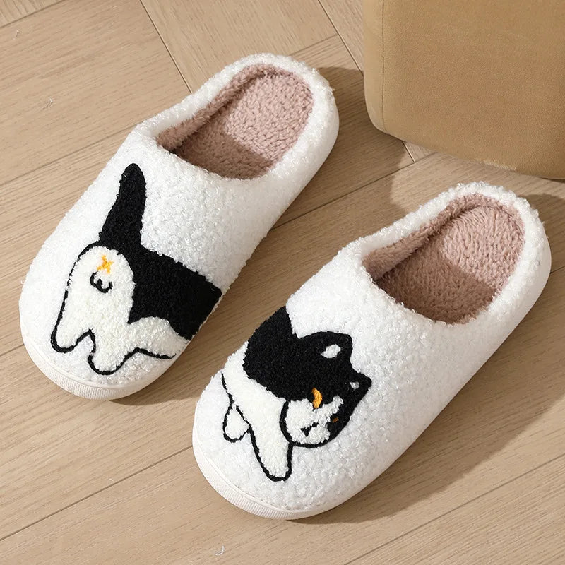 Dachshund Dog | Cat | Slippers