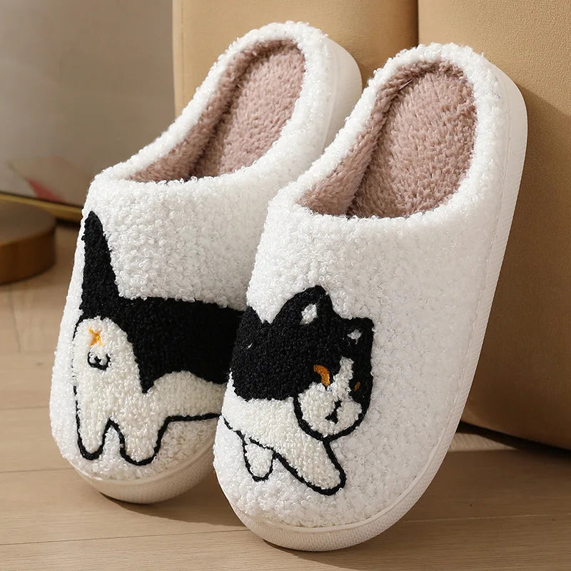 Dachshund Dog | Cat | Slippers