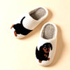 Dachshund Dog | Cat | Slippers
