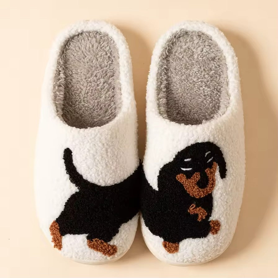 Dachshund Dog | Cat | Slippers